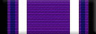 Purple Heart (Level 1)
