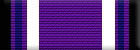 Purple Heart (Level 1)